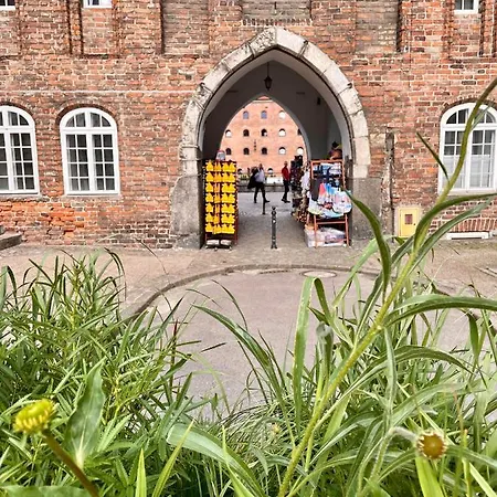 Apartament Warzywnicza Old Town